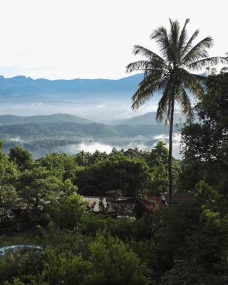 🪷Proč chci jet s vámi na Srí Lanku? 🪷 Protože Yasmin Hill Sri Lanka patří lidem, ve které mám důvěru. Je to místo plné...